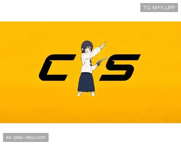 CS2皮肤贴纸溢价规则：什么样的贴纸组合最值钱？（234 ）